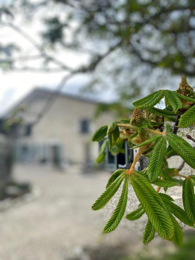 Figtrees Bed and Breakfast Margueron Εξωτερικό φωτογραφία